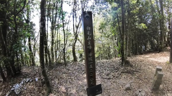20250421_阿白縱走2774488