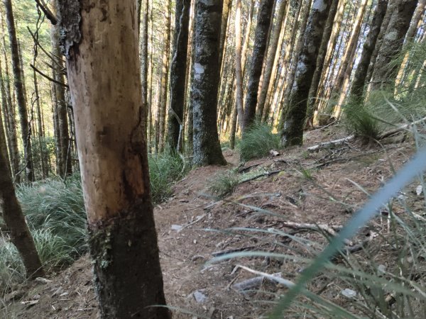 北一段(02/14)多加屯前峰2025_0906~132885103