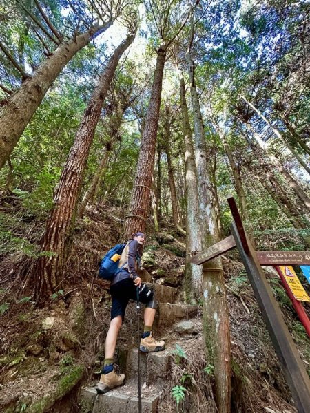 20251014雪見遊憩區 🚴‍♂️咖搭車走司馬限林道上東洗水山兩刷北坑山至大板根2916404
