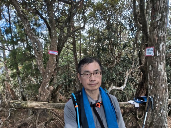 高島縱走、馬胎南坪古道2724276