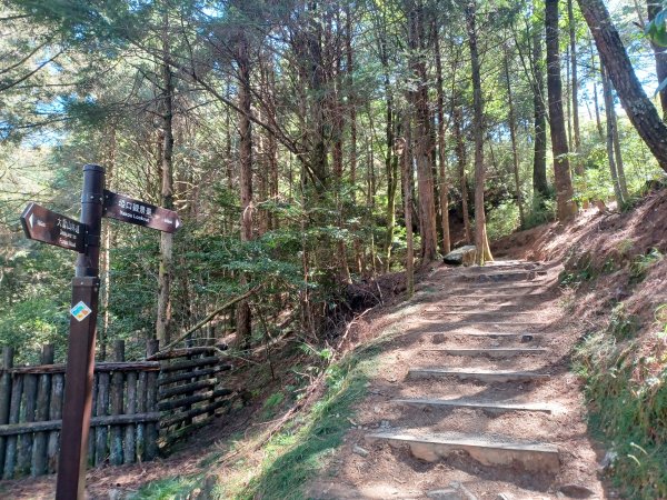 【台中和平】大雪山啞口觀景台步道2933077