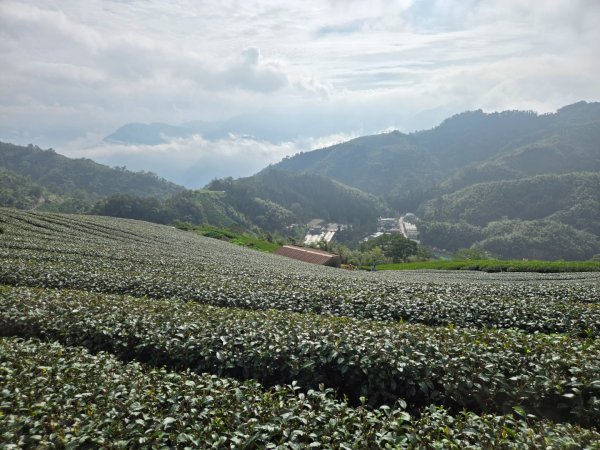 雲嘉六連峰（小百岳）2927998