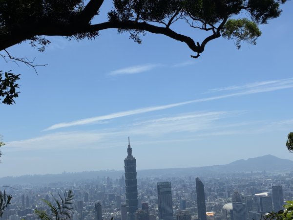 台北大縱走2026｜💎尋寶登上九五峰！第六段｜中華科大→九五峰→南港山→富陽生態公園3092068