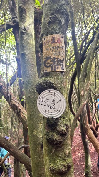 橫沙笛O繞2824592