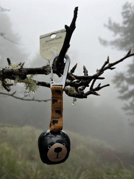 大雪山森林遊樂區2737483