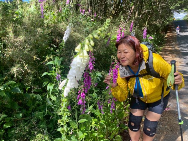 南投信義鄉東埔山、東埔山草原步道、塔塔加遊客中心2815147