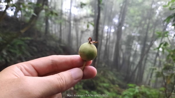 《雲林》望好望角｜石壁山嘉南雲峰步道(中側登山口）202506072805436