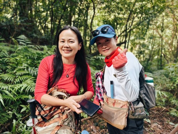 東勢大崙、東勢坑山、觀音湖山O走2986290