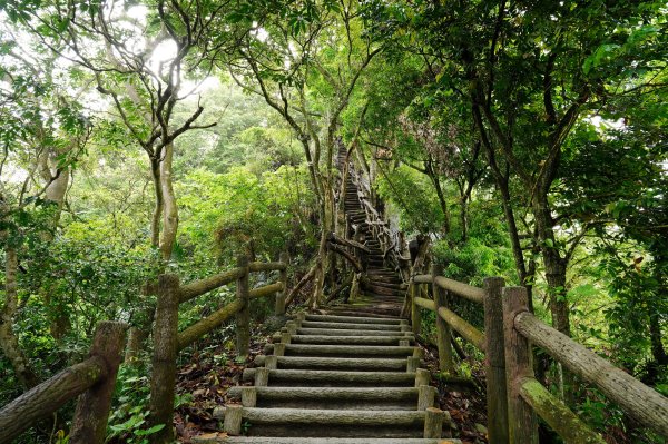 臺中 新社 頭嵙山、黑山、石苓湖山3047644