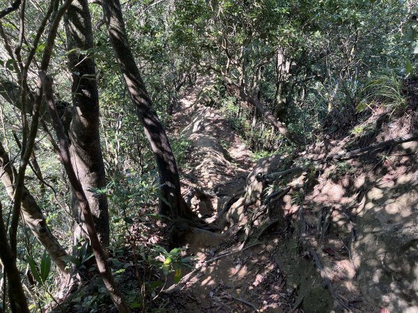 [微笑山線_第九段] 2025_0914 二格山系_皇帝殿東峰2889518