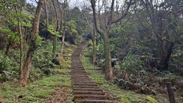 20240308汐止大尖山步道-四分尾山-耳空龜山2448625
