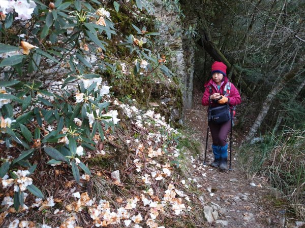 20190406畢祿山單攻563678