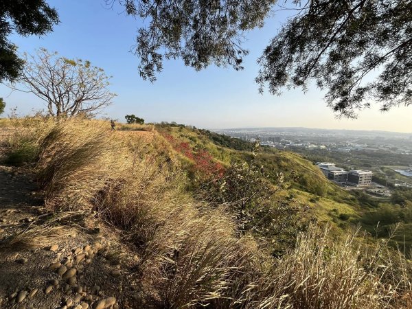 知高圳步道2711631