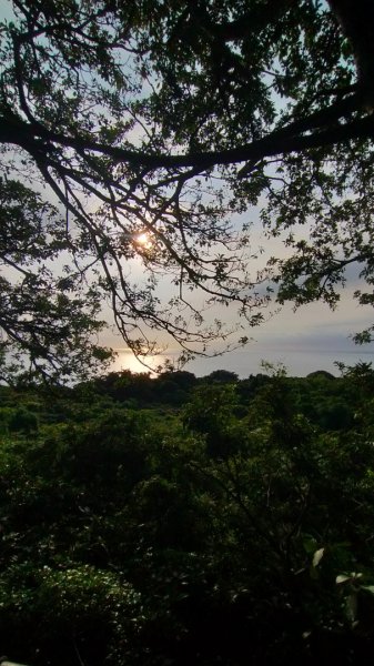 柴山之美~夕陽/夜景2555782