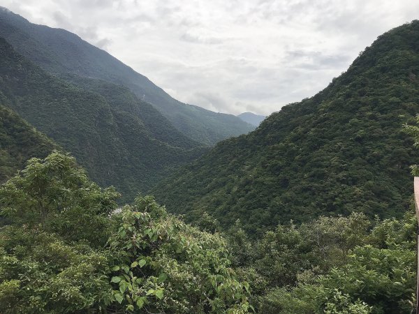 布洛灣&環流丘步道&山月吊橋1445036