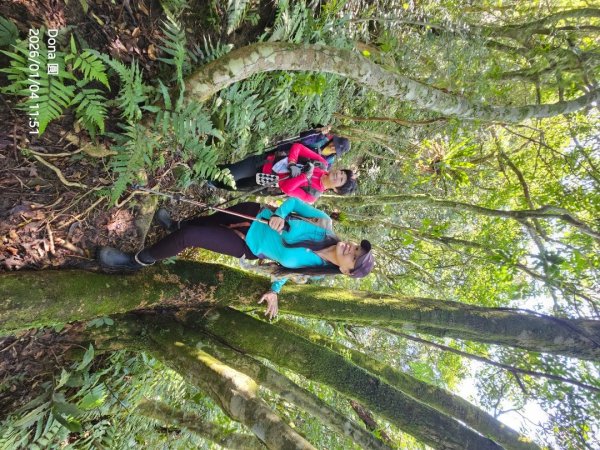 20260104源茂山.源茂山西峰.和尚髻山O走+親水觀魚步道2977728