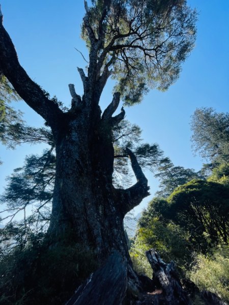 1140404二訪～塔關山2754058