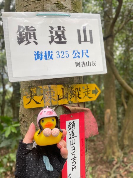 微笑山⛰️線-大棟-二格山-五分山-天上山-鳶山💎12條步道完成💙2834112