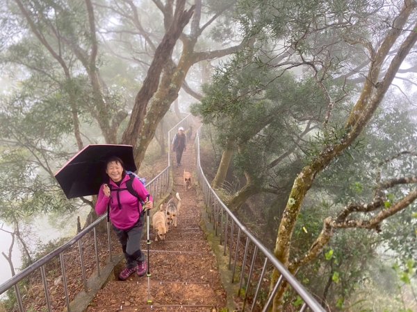 田中森林公園步道、赤水崎公園步道、花牆、龍過脈古蹟2750908