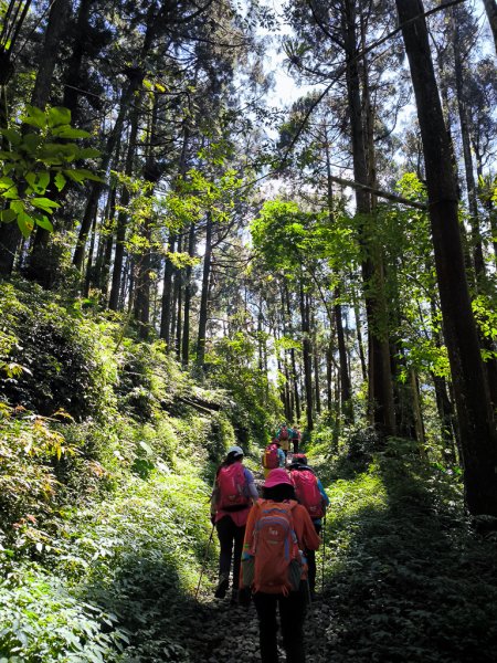 2025-09-14 奮起湖2887404