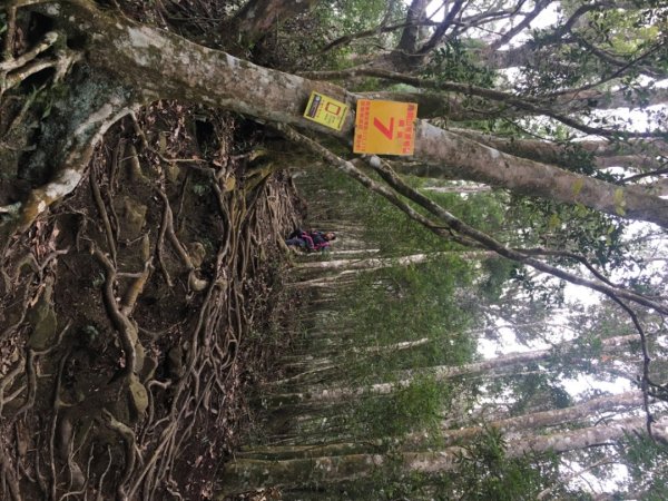 鳥嘴山（上島2708538