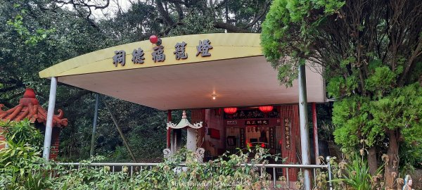 《苗栗》霧雨寒流｜三義三角山步道202512252969266