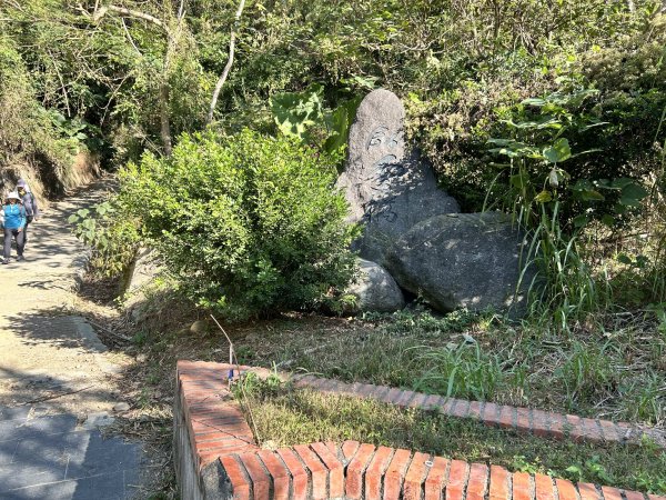 坑內坑森林步道2957406