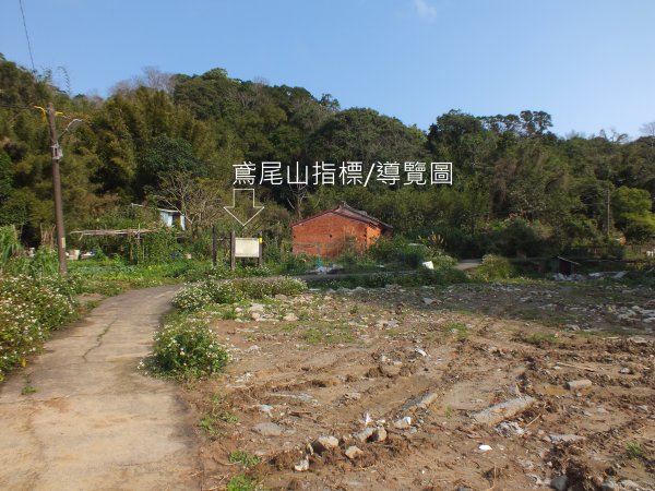 三峽區鳶尾山+福德坑東峰+福德坑山+鳶山彩壁+五十分山+壽山+龍山寺2775744