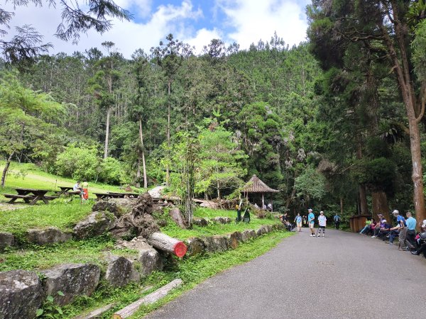 [百山百鳥尋旅-05/15] 2025_0830 溪頭賞鳥步道_觀景步道2875593