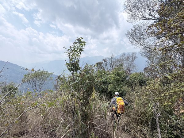完登新南橫三星-馬馬宇頓山   2026.3.273027512