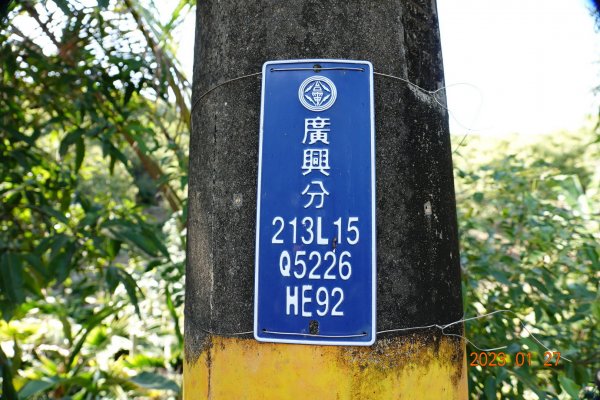 屏東 三地門 竹子崙南山、竹子崙北山2019756