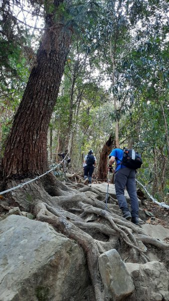 《台中》谷關七雄｜唐麻丹山順O型(松鶴線)202303252084700