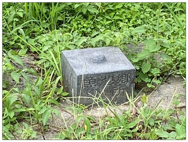 魚池尖山 (魚池富山) 中入右出2828913