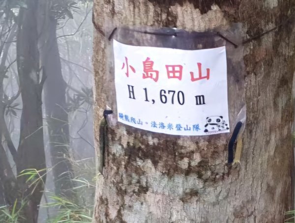【中級山縱走】高島縱走（高台山，小島田山，中島田山，大島田山）2740956