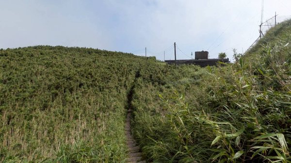 大屯山主峰步道3067638