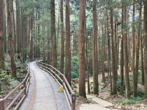 特富野古道1303990