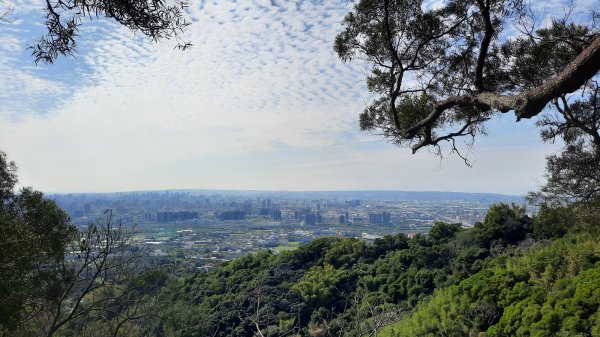 《台中》新春減肥｜大坑步道7上6下202202061602059