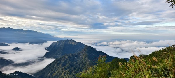 #馬那邦山 #琉璃光 #日出 #雲海 #山羌 #楓葉 10/25 & 11/12924596