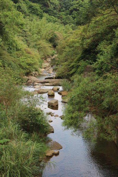 〔暖暖〕 暖東峽谷  ，雙溪荷所在 。昔日淡蘭古道中路一段  壯觀滑瀑，新北最大荷花園  唯美黃荷2246081