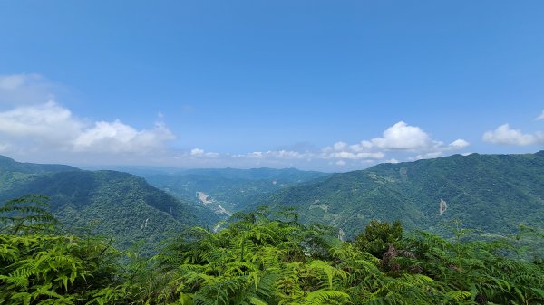 苗栗泰安-鳥嘴山（上島山）2121456