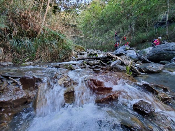 中橫大辣－屏風山1507802