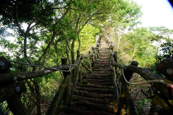 臺中 新社 頭嵙山、黑山、石苓湖山3047657