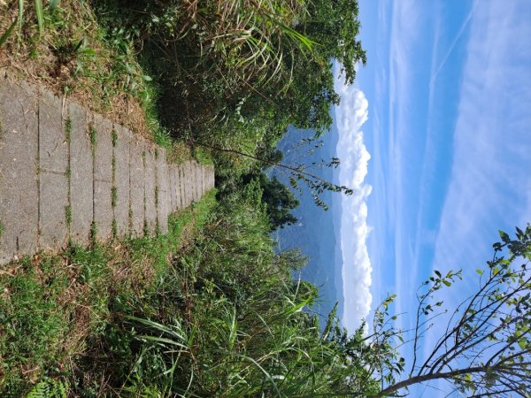 20230911淡蘭古道中段：五分山步道-暖東舊道2446787