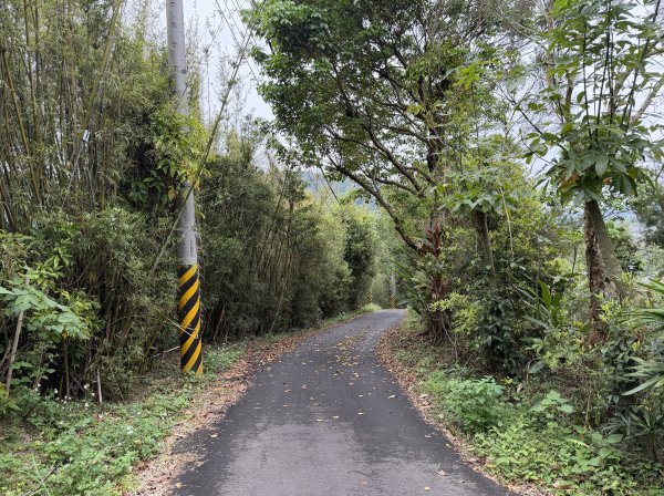 [樟之細路_第二大段RSA17] 2026_0328 飛鳳古道3026072