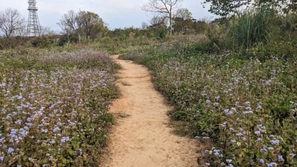 福人登山步道2069898