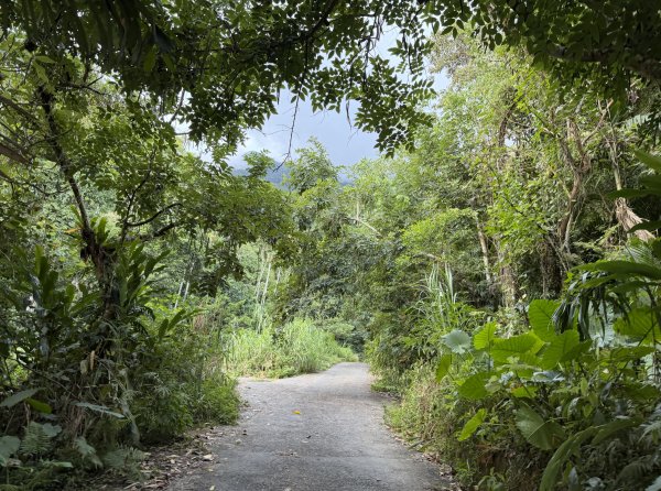 2025_1018 花蓮縣鳳林鎮鳳凰瀑布2921367