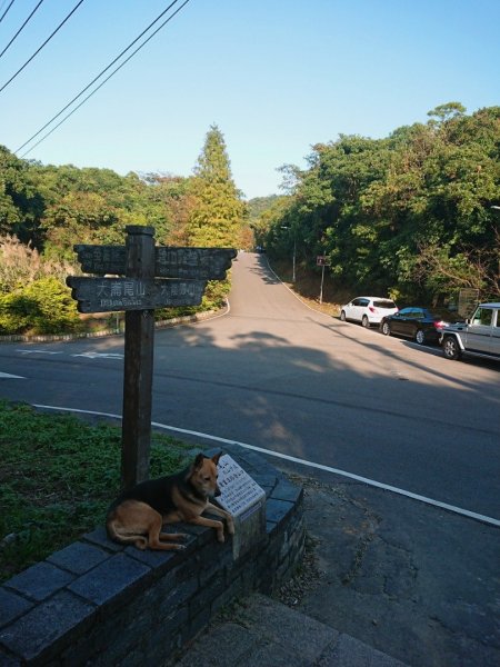 大崙頭尾親山步道470610