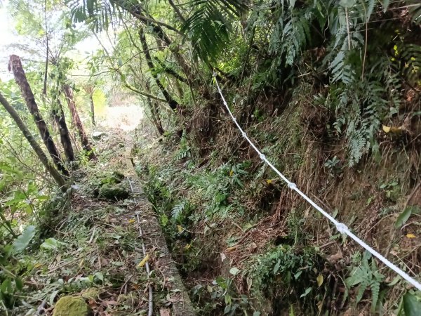 雙溪區柑腳城威惠廟+柑腳城山(下坑山)去回2796650