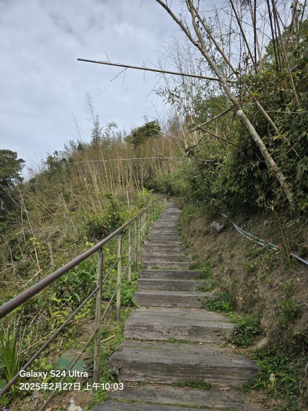 2025-02-27二延平步道2725409