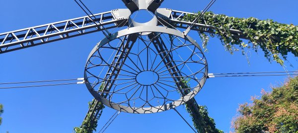 大湳森林公園2910972